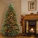 The Holiday Aisle® 9' Green Fir Artificial Christmas Tree w/ 900 Color + Clear Lights, Metal | Wayfair D5C8E759F33843A697F8C1B905CA9F1C