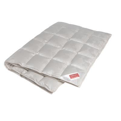 Hefel Luxus Eiderdaunendecke Daunen Nobelbatist / 200x200 cm / 770g Image