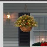Three Posts™ Melancon Spruce Hanging Basket | 20" | Wayfair 7C7AE5D9A15C4B8D87147BECC949AB35