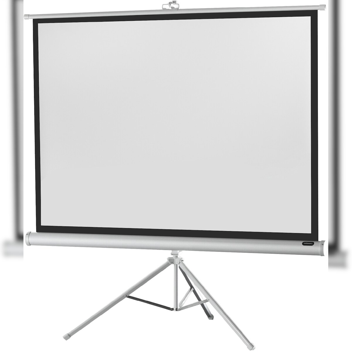 celexon Stativleinwand Economy 244 x 183 cm - White Edition Image