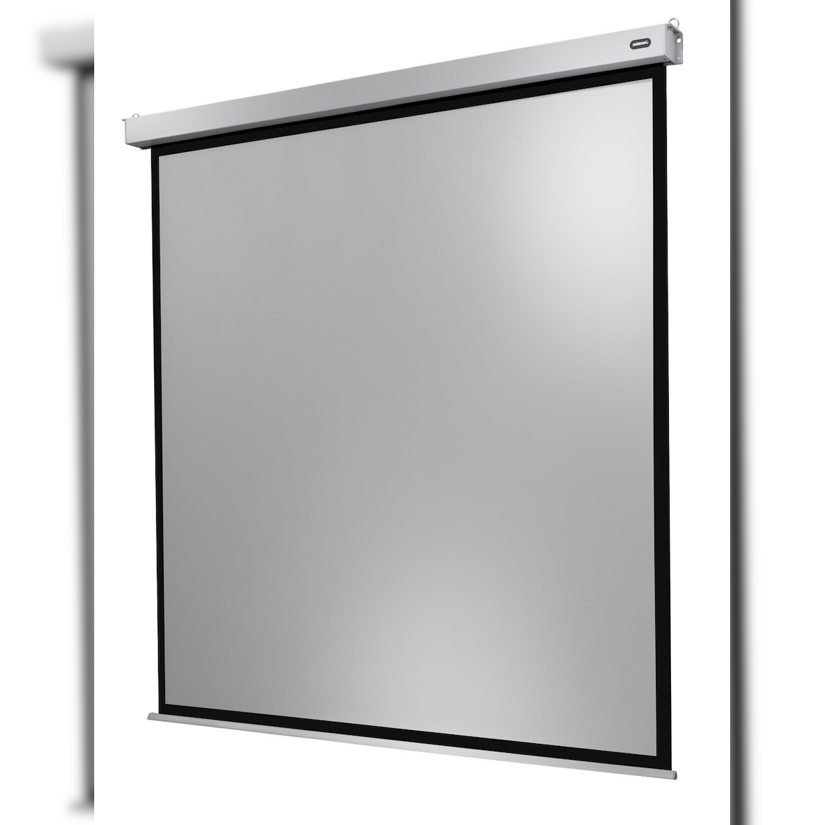 celexon Leinwand Motor Professional Plus 280 x 280 cm Image