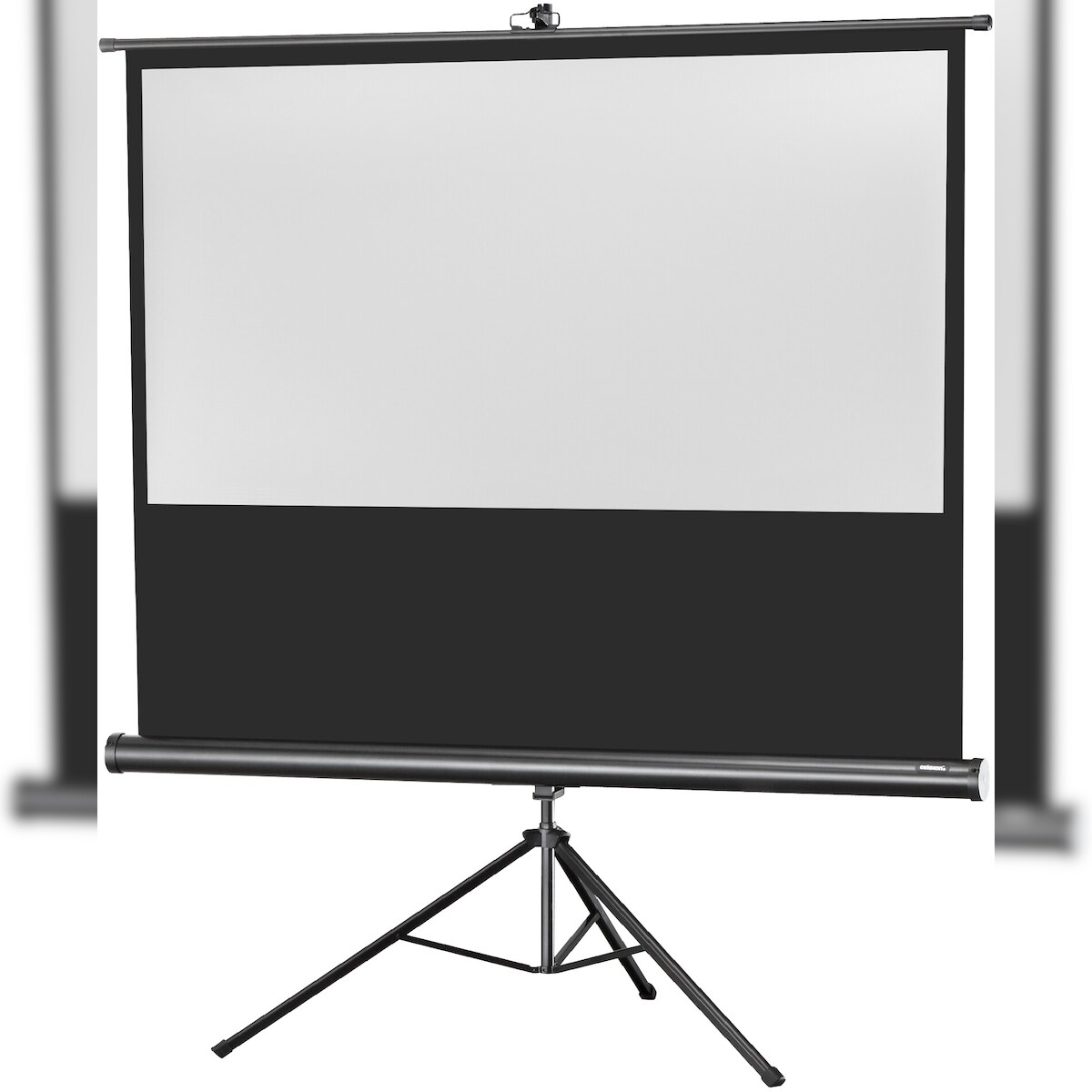 celexon Stativleinwand Economy 133 x 75 cm Image