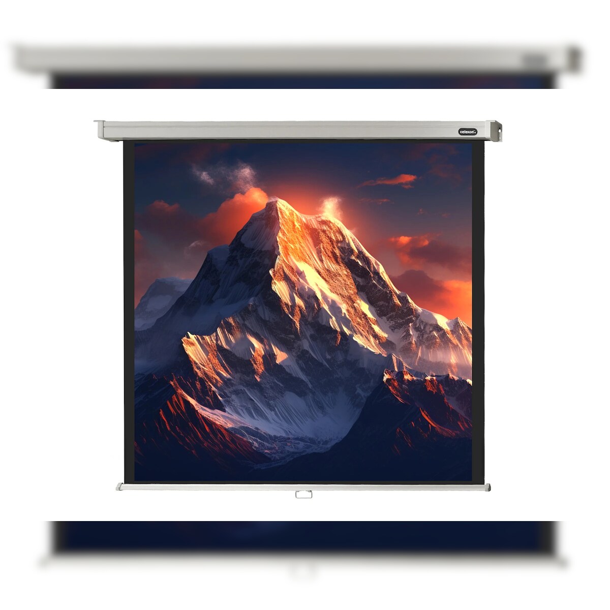 celexon Leinwand Rollo Professional 180 x 180 cm - 100` Image