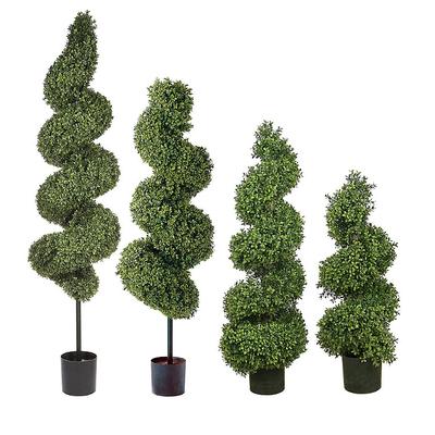 Spiral Outdoor Boxwood Topiary - 60