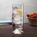 Nude No.9 Set of 4 Lead Free Crystal High Ball Glasses 12 oz. Crystal | 6.3 H x 2.56 W in | Wayfair 12110-197968