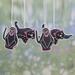 The Holiday Aisle® 4 Piece Wild Animal Cotton Hanging Figurine Ornament Set Fabric in Black | 3.5 H x 3.9 W x 0.5 D in | Wayfair 289762