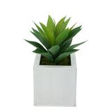 Latitude Run® 7" Artificial Succulent Plant in Pot Plastic/Metal in White/Brown | 13 H x 9 W x 9 D in | Wayfair E748AB2E253C4F2294D478B15545FA88