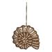 The Holiday Aisle® Nautilus Mother of Pearl & Bead Hanging Figurine Ornament in Gray/Yellow | 0.5 H x 3.5 W x 4.25 D in | Wayfair