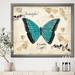 East Urban Home Farmhouse Butterfly - Picture Frame Print on Canvas in Blue | 16 H x 16 W x 1 D in | Wayfair 6AB77401C8ED4ACEBA81566476606CFD