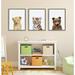 Isabelle & Max™ 'Animal Studio Sleepy Lion/Baby Tiger Portrait/Animal Studio Bear' by Amy Peterson | 24 H x 18 W x 1.63 D in | Wayfair