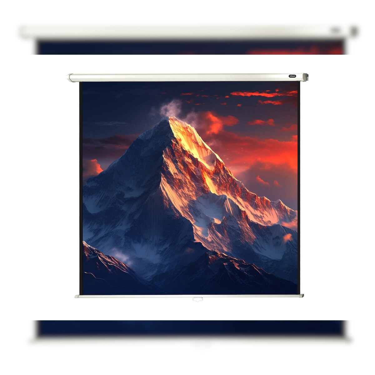 celexon Leinwand Rollo Economy 220 x 220 cm - 122` Image