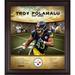 Troy Polamalu Pittsburgh Steelers Framed 15" x 17" Hall of Fame Career Profile