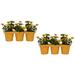 Arlmont & Co. Nicole 2-Piece Steel Pot Planter Metal in Orange | 6 H x 21 W x 6 D in | Wayfair DF0B87B2DA5D400290D6C53886BB7415