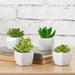 Primrue 4 - Piece Artificial Succulent in Planter Set Ceramic/Plastic | 3.25 H x 2.75 W x 2.75 D in | Wayfair 939243FE6B4741A7A0C079D0170050D4