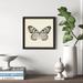 Gracie Oaks 'Butterfly V BW' - Picture Frame Graphic Art Print on Paper in Black/Green/White | 18 H x 18 W x 0.75 D in | Wayfair