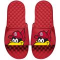 Men's ISlide Red St. Louis Cardinals Mascot Slide Sandals