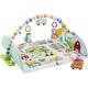 Fisher-Price Activity City Gym to Jumbo Play Mat, multi