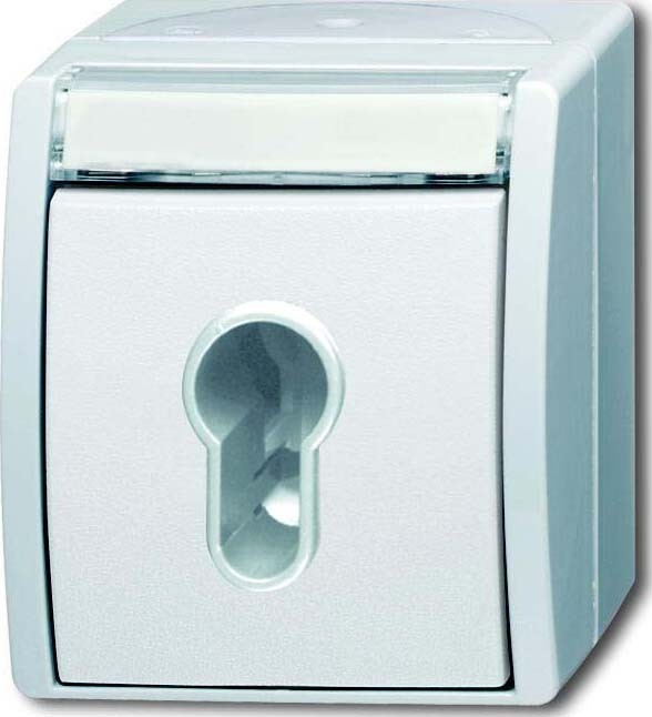 Busch-Jaeger Schlüsselschalter 2733 SLW-54 2CKA001101A0925 Image