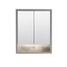 Latitude Run® Asbell Surface Mount Framed 2 Doors Medicine Cabinet w/ 2 Adjustable Shelves & LED Lighting in Gray | 29 H x 24 W x 6.3 D in | Wayfair