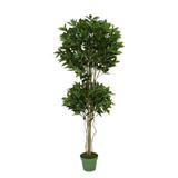 Primrue 57" Artificial Foliage Tree in Pot Liner Polyester/Plastic | 63 H x 24 W x 24 D in | Wayfair B36919C7F0864723ADE323CF97FB30FF