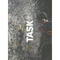 Oliver Herring: Task