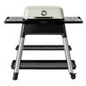 Ezooza - Everdure force™ barbecue a gas di Everdure by Heston Blumenthal Pietra - Pietra