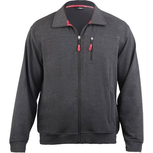 AUTHENTIC KLEIN Herren Sport- u. Freizeitjacke, Größe 29 in Grau