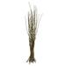 Vickerman 650868 - 35-40" Basil Moneta Branches (H2MON100) Dried and Preserved Branches