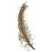 Vickerman 650837 - 36-40" Natural Medusa Branch - Medium (H2MEM000) Dried and Preserved Branches