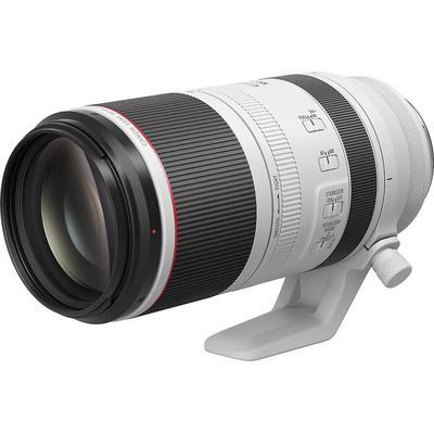 Canon RF 100-500mm f/4.5-7.1L IS USM Lens