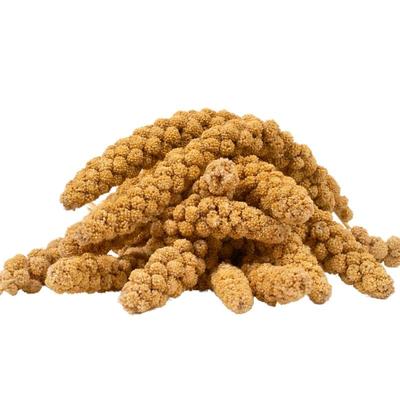 5 kg Lyra Pet Kolbenhirse gelb