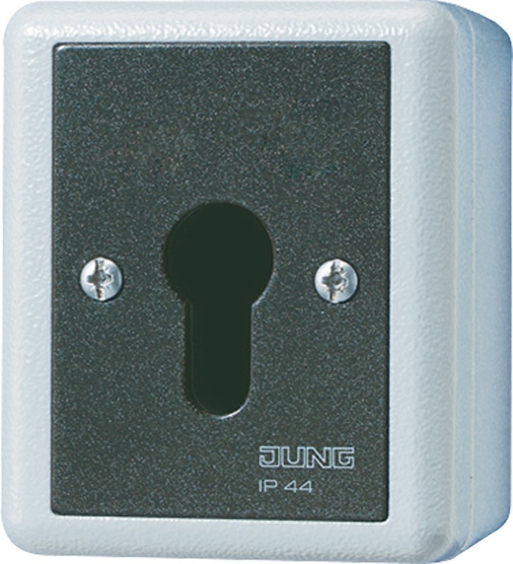 Jung Schlüsselschalter 833.18 G 833.18G Image