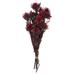 Vickerman 655009 - 8-20" Merlot Plumosum Bundle - 13 Heads (H1PMF450-1) Dried and Preserved Flowering Plants