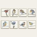 Birds of a Feather Art - Print VI, 18" x 18" - Ballard Designs 18" x 18" - Ballard Designs