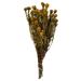 Vickerman 650059 - 12" Aspen Gold Tortum Bundle (H1TOF725) Dried and Preserved Standard Plants