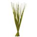 Vickerman 651131 - 36-40" Basil Rush Grass - 7 oz. (H2RUS100) Dried and Preserved Grass