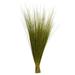 Vickerman 650301 - 35-40? Basil Bright Grass - 8oz. Bundle (H2BRG100) Dried and Preserved Grass