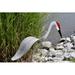 Highland Dunes Sandhill Crane Garden Art Resin/Plastic | 24 H x 6.5 W x 6 D in | Wayfair F1115270D3C345CFB804597BA60FACD4