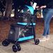 Petique Pet & Pets Double Decker Pet Stroller - Turquoise in Blue/Brown | 31 H x 15 W x 8 D in | Wayfair 1ST01500102