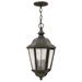 Darby Home Co Mahesh 3 -Bulb 19.5" H Outdoor Hanging Lantern Glass/Aluminium/Metal in Brown | 19.5 H x 10 W x 10 D in | Wayfair