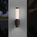 Orren Ellis Gulzar 2-Light Outdoor Armed Sconce Plastic/Metal | 19.5 H x 4.5 W x 4.5 D in | Wayfair 7380.74-WL