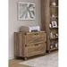 Saint Birch 2-Drawer Lateral Filing Cabinet Wood in Brown | 29.5 H x 31.5 W x 20.5 D in | Wayfair SBOF4501LFRO