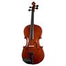 Stentor SR1551 Viola Conservat. 16,5