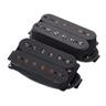 Seymour Duncan Pegasus Sentient 6 Set Black