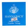 Hannabach 2405 snare string mod. Dresden