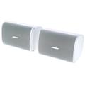 Bose Professional DesignMax DM5SEwhite