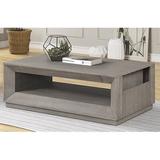 Foundry Select Zavier Floor Shelf Coffee Table w/ Storage Wood in Brown/Gray | 18.5 H x 52 W x 30 D in | Wayfair 90498BD8FA4A4B479747F4430D10D06F