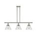 Innovations Lighting Bruno Marashlian Large Cone 36 Inch 3 Light Linear Suspension Light - 916-3I-PN-G44-LED