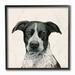 Stupell Industries Intriguing Dalmatian Mix Dog Breed Pet Portrait by Grace Popp - Graphic Art Print on in Brown | 12 H x 12 W x 1.5 D in | Wayfair