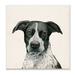 Stupell Industries Intriguing Dalmatian Mix Dog Breed Pet Portrait by Grace Popp - Graphic Art Print on in Brown | 12 H x 12 W x 0.5 D in | Wayfair